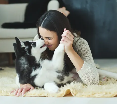 Dog kissing woman on the nose